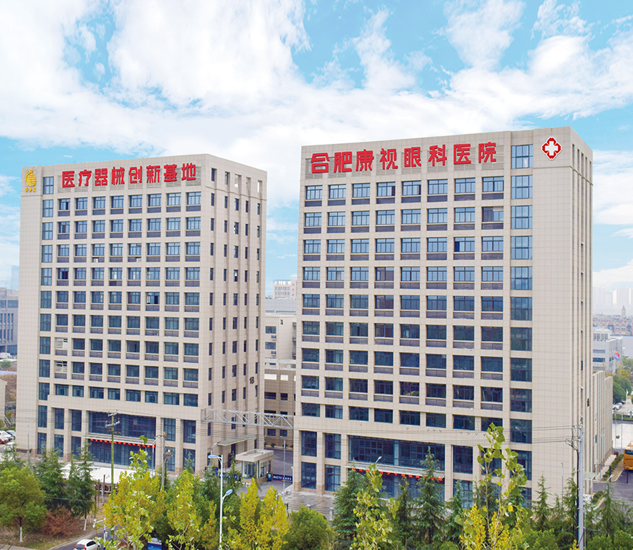 ballbet������(�й�)����ɭ����