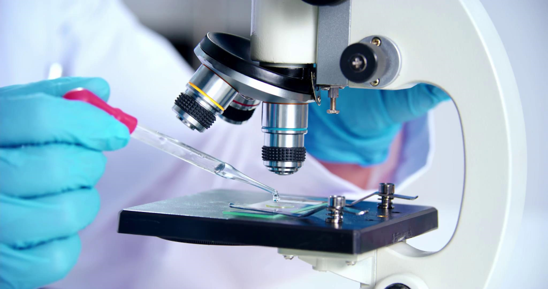 ballbet������(�й�)����ɭ����