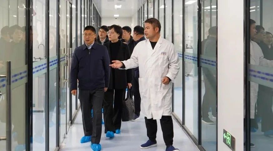 ballbet������(�й�)����ɭ����